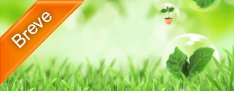Curso de Sustentabilidade