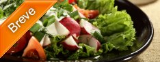 Curso de Vegetarianismo