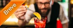 Curso de Bartender