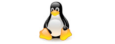 Curso de Linux