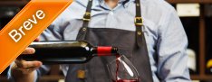 Curso de Sommelier